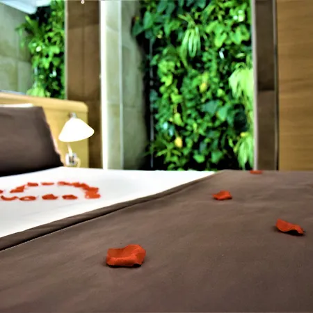 Hotell Paolo Ii Rom