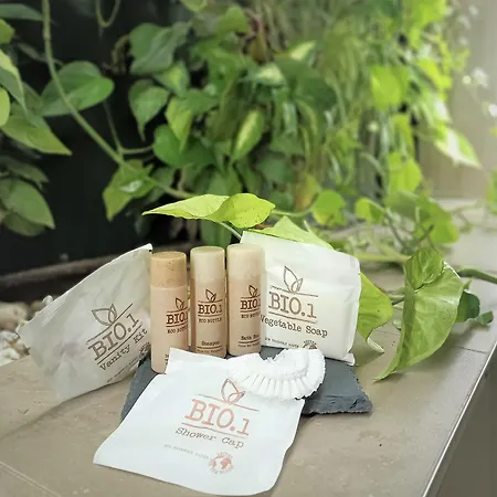 Paolo Ii 3* Roma